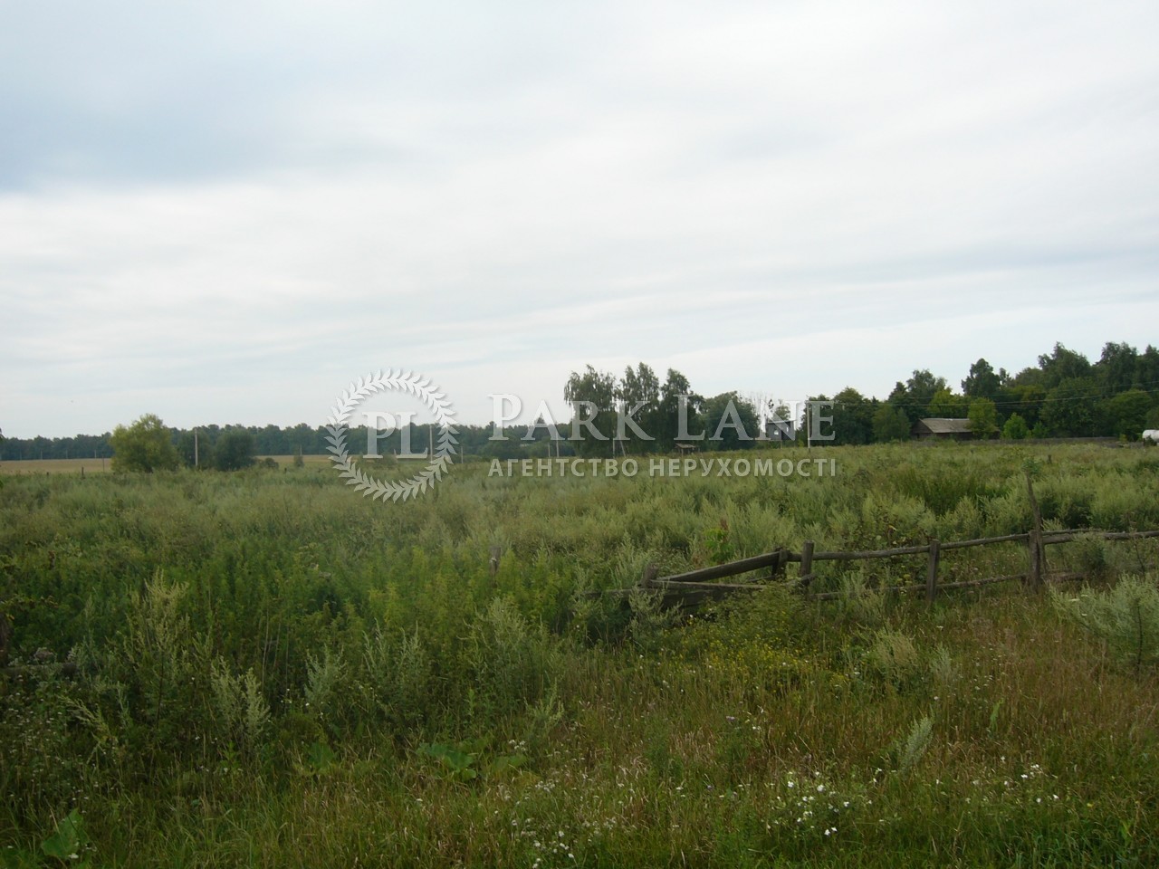 Земельна ділянка Осикове, R-39679 - Фото 4