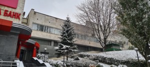  Отдельно стоящее здание, I-35259, Михновского Николая бульвар (Дружбы Народов бульвар), Киев - Фото 3