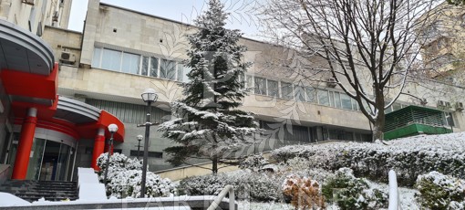  Отдельно стоящее здание, Михновского Николая бульвар (Дружбы Народов бульвар), Киев, I-35259 - Фото