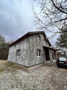 House I-35383, Zaozerna, Novosilky (Makarivskyi) - Photo 1