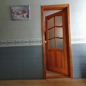 Дом L-29946, Шевченко, Обухов - Фото 20