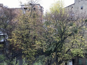 Apartment L-30160, Liuteranska, 30, Kyiv - Photo 15