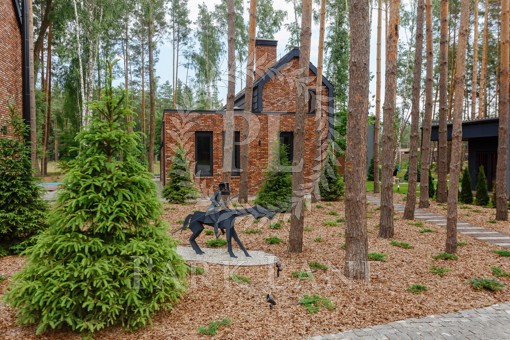 Дом Лебедевка (Вышгородский), L-30333 - Фото