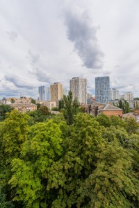Apartment I-36191, Povitrianykh Syl avenue (Povitroflotskyi avenue), 23, Kyiv - Photo 30