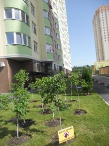 Квартира Q-3281, Воскресенская, 12г, Киев - Фото 6