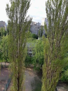 Apartment R-57034, Malyshka Andriia, 31а, Kyiv - Photo 10
