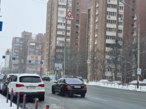 Apartment R-54752, Antonovycha Volodymyra (Horkoho), 88, Kyiv - Photo 9