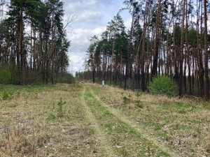 Земельна ділянка B-106920, Лісова, Стоянка - Фото 4