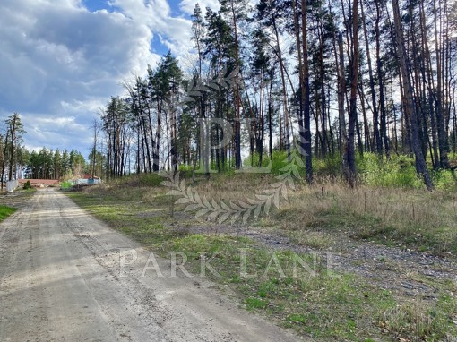 Land Lisova, Stoianka, B-106919 - Photo
