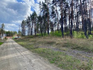 Земельна ділянка B-106919, Лісова, Стоянка - Фото 1