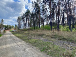 Земельна ділянка B-106939, Лісова, Стоянка - Фото 2