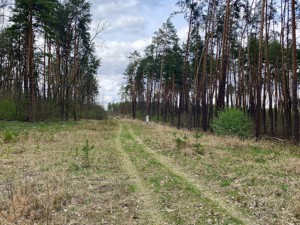 Земельна ділянка B-106939, Лісова, Стоянка - Фото 4