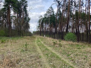 Земельна ділянка B-106940, Лісова, Стоянка - Фото 4