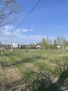 Земельна ділянка L-31020, Лебедівка (Вишгородський) - Фото 4
