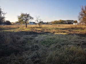 Land I-37073, Pohreby (Brovarskyi) - Photo 1