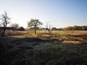 Land I-37073, Pohreby (Brovarskyi) - Photo 2