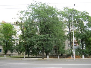 Apartment R-48832, Budivelnykiv, 24, Kyiv - Photo 1
