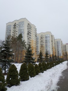 Apartment G-1026477, Lobanovskoho, 7, Chaiky - Photo 2