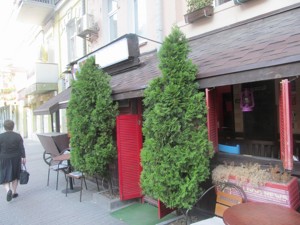  Ресторан, I-21192, Большая Васильковская (Красноармейская), Киев - Фото 1
