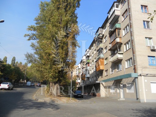 Квартира Жуковского Василия пер., 4, Киев, B-103816 - Фото
